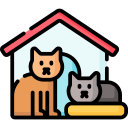 gatos icon