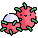 rambután icon