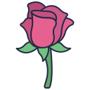 rosa icon