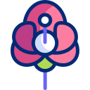 orquídea icon