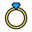 anillo icon