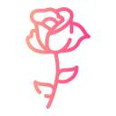 rosa icon