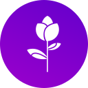 rosa icon