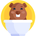 dia de la marmota icon