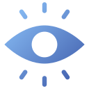 ojo icon