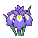 iris icon