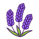 lavanda icon