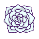 gardenia icon