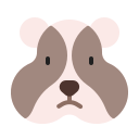 animal icon