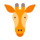 animal icon