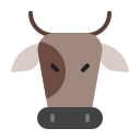 animal icon