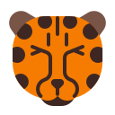 animal icon