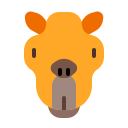 animal icon