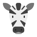 animal icon