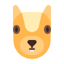 animal icon