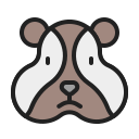 animal icon