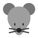 ratón icon