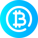 bitcoin icon