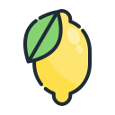 fruta icon