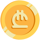 lari icon