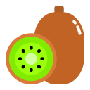 kiwi icon