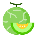 melón icon