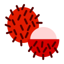 rambután icon