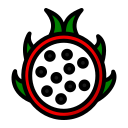 dragon de fruta icon