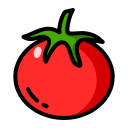 tomate icon