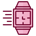 reloj icon