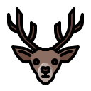 animal icon