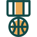 Medal icon