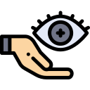 ojo icon