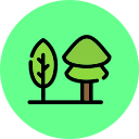 bosque icon