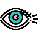 ojo icon