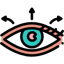 ojo icon