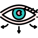 ojo icon