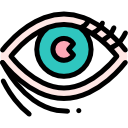 ojo icon