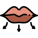 labios icon