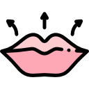 labios icon