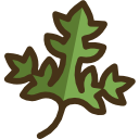 Parsley icon