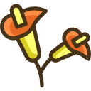 zantedeschia icon