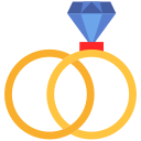 anillo icon