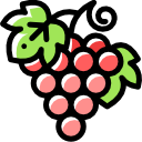 uvas icon