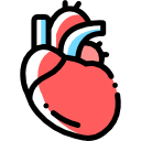 corazón icon