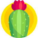 Echinopsis