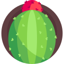 melocactus icon