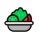 saludable icon