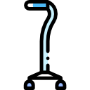 Walking stick 