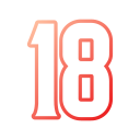 18 icon